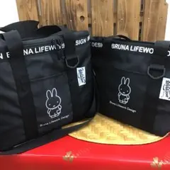 Item thumbnail for item e865f275-236f-419a-b993-422ca30c2261