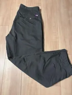 THE NORTH FACE PURPLE LABEL NT5052N 30