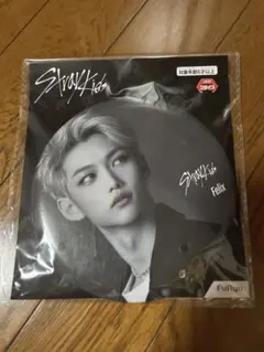 Stray kids Felix フィリックス 缶バッジ victory 16個 Stray kids Felix フィリックス 缶バッジ victory 16個 Stray