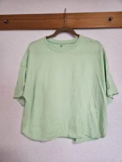 クロップド丈 Tシャツ ライトグリーン Sのサムネイル