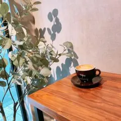 ⭐新品未使用⭐カラーラ 丸型なべ・仕切り板・２段ラック串付きセット・レシピ本付き ⭐新品未使用⭐カラーラ 丸型なべ・仕切り板・2段ラック串付きセット