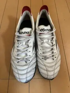 MIZUNO モレリアネオ4