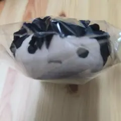 Item thumbnail for item 43f390f3-87e4-46f3-a745-7c8bf17c684d