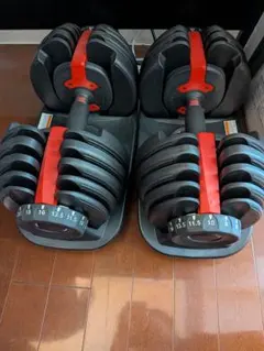 【美品・1】BIRDX 可変式ダンベル 24kg (15段階調節) ※要同時購入のサムネイル
