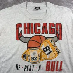 90s CHICAGO BULLS Tシャツ SCREEN STARS シングル