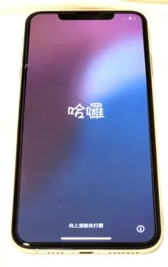 Apple iPhone XS Max 64GB　docomo