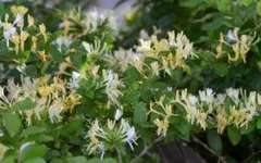 blue＊bird様 リクエスト 2点 まとめ商品