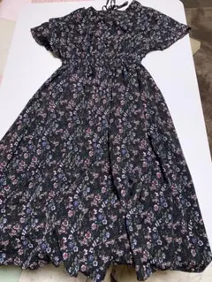 Item thumbnail for item 645c3bd6-e2e1-4b09-accf-fcb11e129a5c