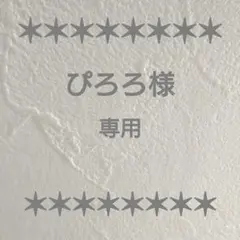 ぴろろ様 リクエスト 2点 まとめ商品