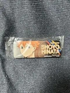 ハイキュー　日向翔陽　ロング缶バッジ