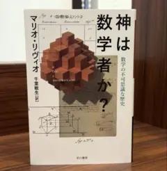 神は数学者か? 数学の不可思議な歴史 / マリオ・リヴィオ 26