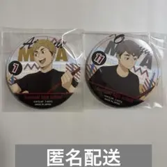 ハイキュー!! 稲荷崎 宮侑 宮治 カラパレ缶バッジ 匿名配送