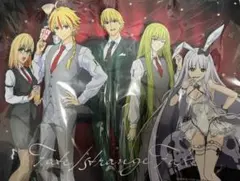 Fate/strange Fake ゲーマーズ特典 キャラファインマット Fate/strange Fake ゲーマーズ特典 キャラファインマット - メルカリ
