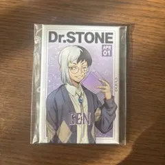 Dr.STONE オンラインくじ 読書の秋編 缶バッジ 長方形 ゲン