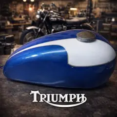 2026年最新】Triumph バイク タンクの人気アイテム - メルカリ