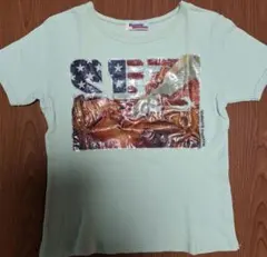 HYSTERIC GLAMOUR ★Tシャツ★Used メタリックプリント★