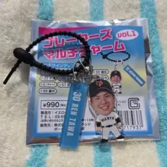 読売ジャイアンツ 田和廉選手 プレイヤーズマルチチャーム vol.1