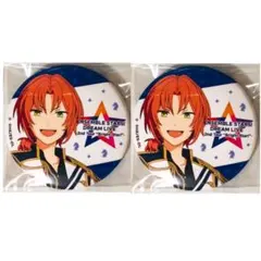 新品★あんさんぶるスターズ！【月永レオ】キャラバッジコレクション★2点セット