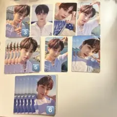 &TEAM タキ　TAKI 青嵐　20枚まとめ売り