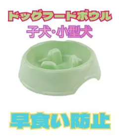 犬用ボウルスローフード付き 子犬・小型犬用滑り止め早食い防止プラスチックグリーン