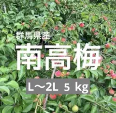 MGM 군마현 난코 매실 L ~ 2L 사이즈 3kg 농부 직송 수확에 따라 다름