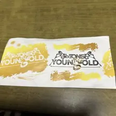 SixTONES札幌ドーム半券　3月22日(土)