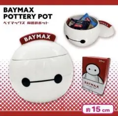 BAYMAX POTTERY POT