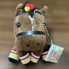 リバティアイランド　オークスSアイドルホース