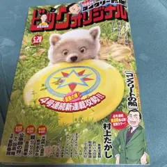 ビッグコミックオリジナル 5/20号