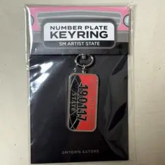 WayV ナンバープレート キーリング 新品 未使用 威神V NCT