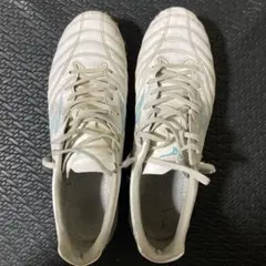 モナルシーダneo