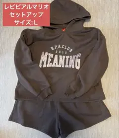 レピピアルマリオ　セットアップ