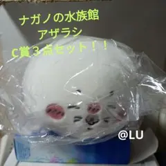 ちいかわ　ナガノの水族館　アザラシ　C賞　3個セット