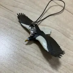 Item thumbnail for item 49e00ae9-091b-453c-bd98-d02f6dc0894c