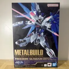 【開封未使用】メタルビルド フリーダムガンダム SNOW SPARKLE