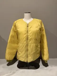 THE NORTH FACE PURPLE LABEL ダウンWS