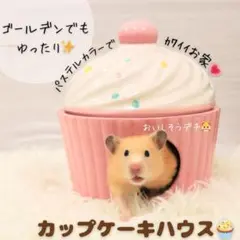 2026年最新】ハムちゃんケーキの人気アイテム - メルカリ