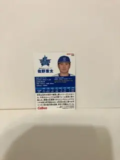 Item thumbnail for item 1a44ed43-81a4-4fa7-b689-b2157c2f674c