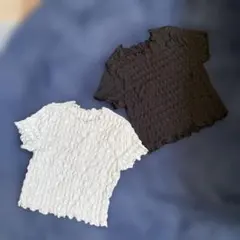 半袖Tシャツ 2色セット