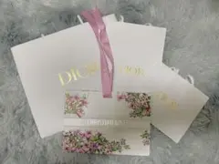 Dior ショップ袋セット 大・中・小