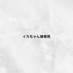 イカちゃん様専用