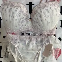 チュチュアンナ　花柄刺繍 ブラジャーショーツセット　G75