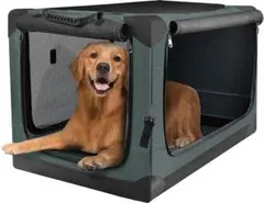 Item thumbnail for item 71b0e9f9-d42b-40f0-9553-b3050ef514fb