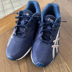 Item thumbnail for item 4e0426bd-a6c9-4840-a762-542cc83337ee