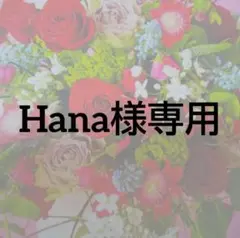 Hana様まとめセット②