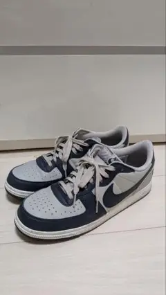 NIKE TERMINATOR LOW　ターミネーター　美品