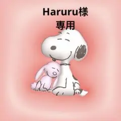 Haruru様 リクエスト 3点 まとめ商品