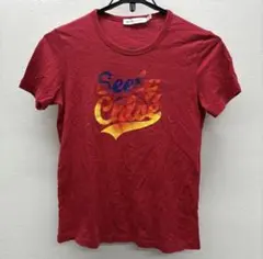 シーバイクロエ グラデーション ロゴ Tシャツ 赤のサムネイル