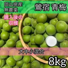 鶯宿 青梅 大中小混合 8kg 無農薬 岡山県産 農家直送 - メルカリ