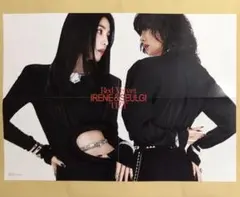 Red Velvet TILT スルギ アイリーン ポスター 黒 トレカ